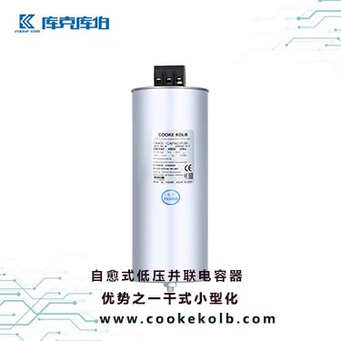 自愈式低壓并聯電容器 自愈式低壓并聯電容器