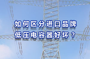 從技術、安全系數、符合中國電網三方面區分進口品牌低壓電容器好壞？