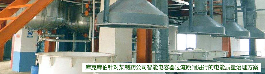 庫(kù)克庫(kù)伯針對(duì)某制藥公司智能電容器過(guò)流跳閘進(jìn)行電能質(zhì)量方案治理 庫(kù)克庫(kù)伯針對(duì)某制藥公司智能電容器過(guò)流跳閘進(jìn)行電能質(zhì)量方案治理