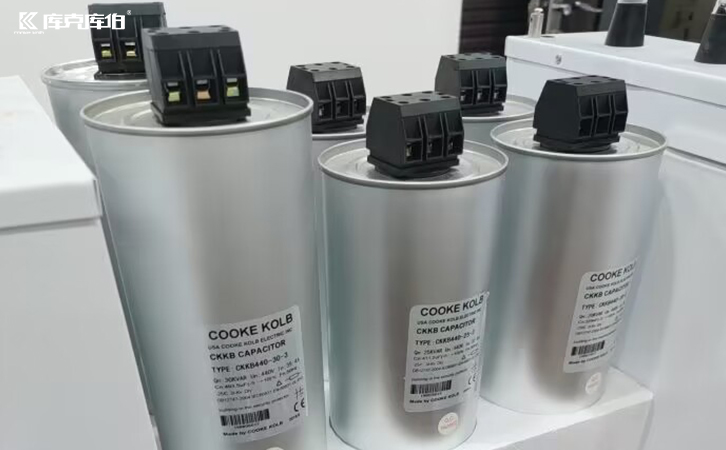 低壓電力電容器 低壓電力電容器