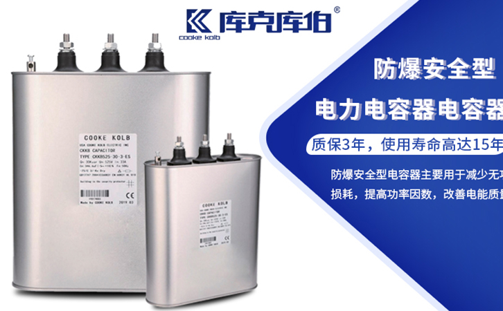 低壓防爆電容器