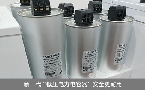 新一代“低壓電力電容器”安全更耐用